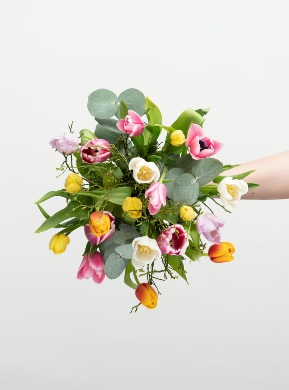 Frisch und Fröhlich Tulpen