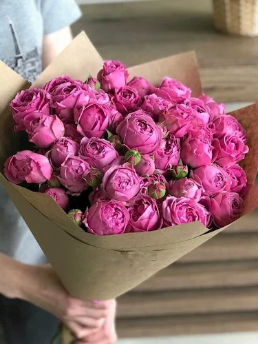 Pfingstrosen Rose Misty Bubbles