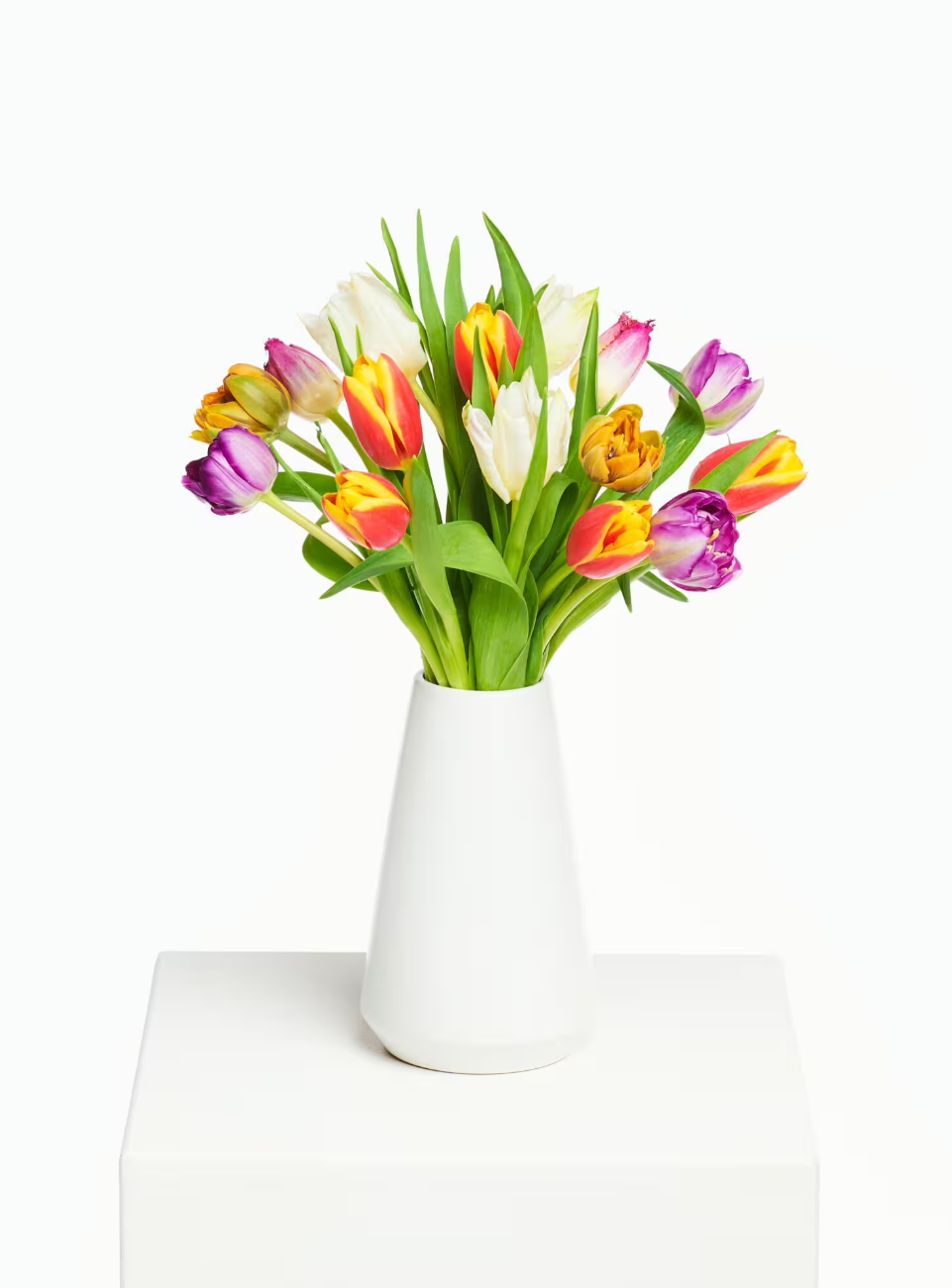 Colourful Tulpen