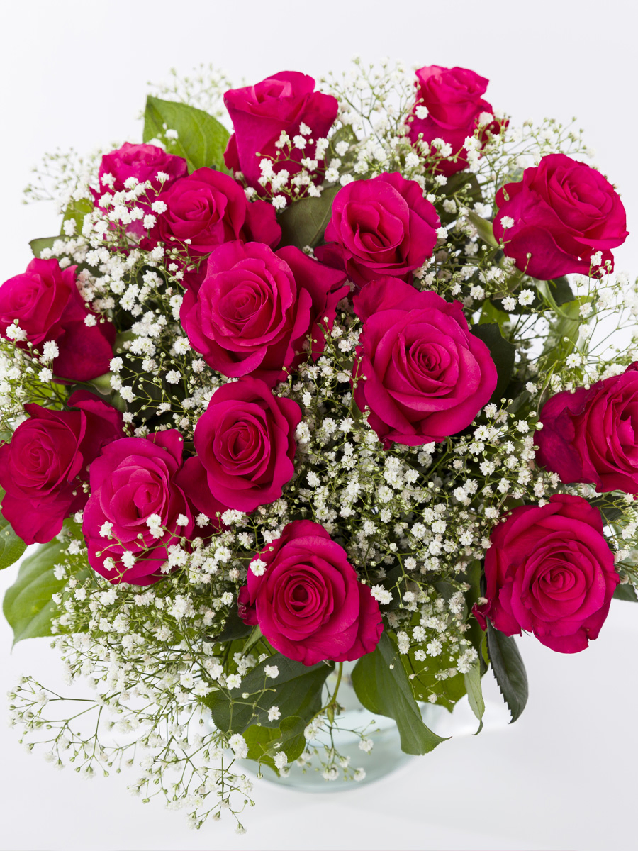 Leuchtend pinke Rosen